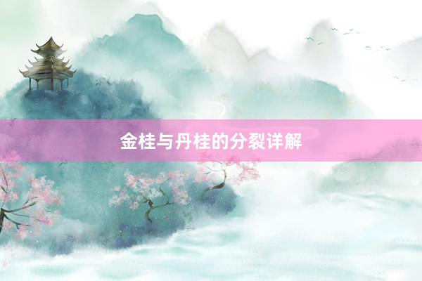 金桂与丹桂的分裂详解
