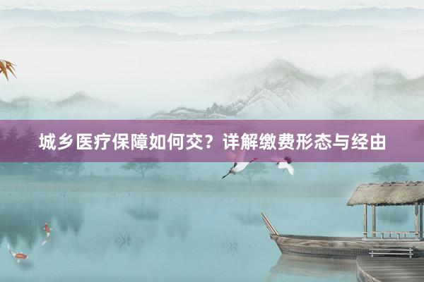 城乡医疗保障如何交？详解缴费形态与经由